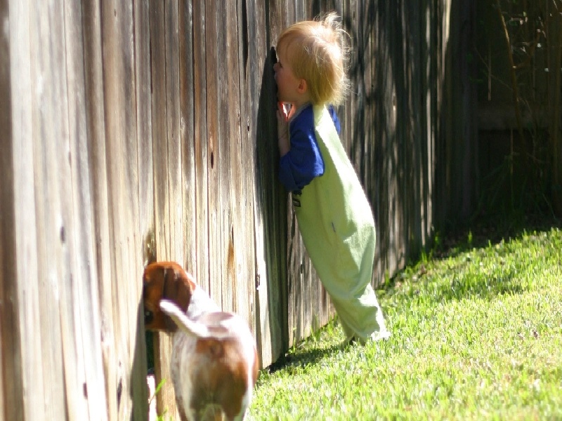 郑州三代供卵例子,山东临沂做试管婴儿成功率最高的医院是哪里？如何选-郑州